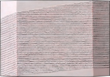 H&amp;uacute;rok, 2012 akril, v&amp;aacute;szon, fa, 34,5x50,5cm